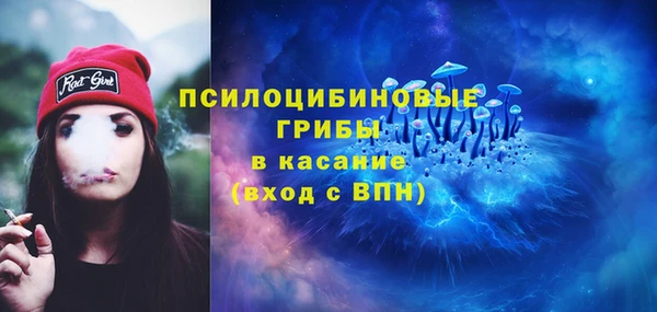 spice Алексин