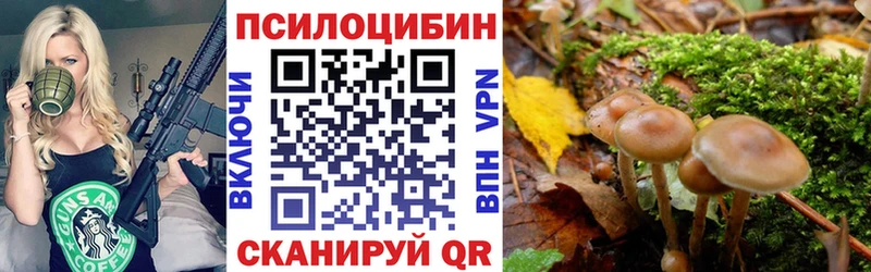 как найти Ува Галлюциногенные грибы ЛСД